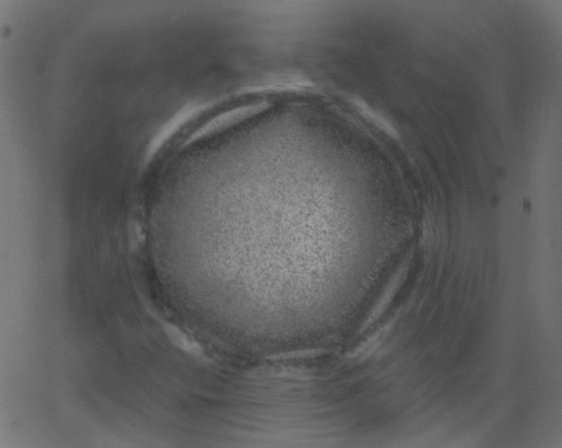 X0000067901400200604271841