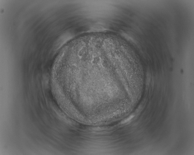 X0000067901401200604271841