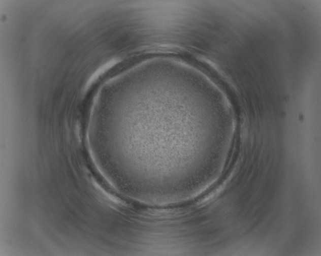 X0000067901402200604271841