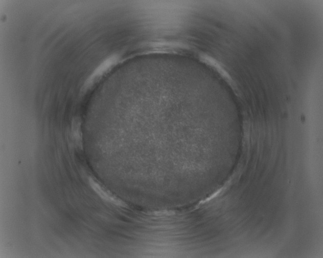 X0000067901403200604271841