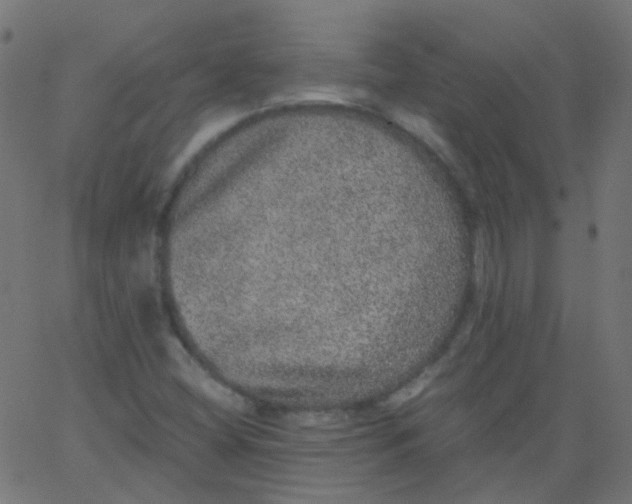 X0000067901404200604271841