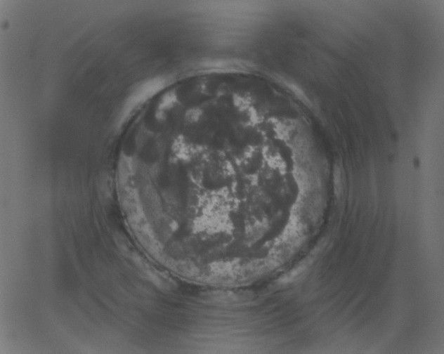 X0000067901405200604271841