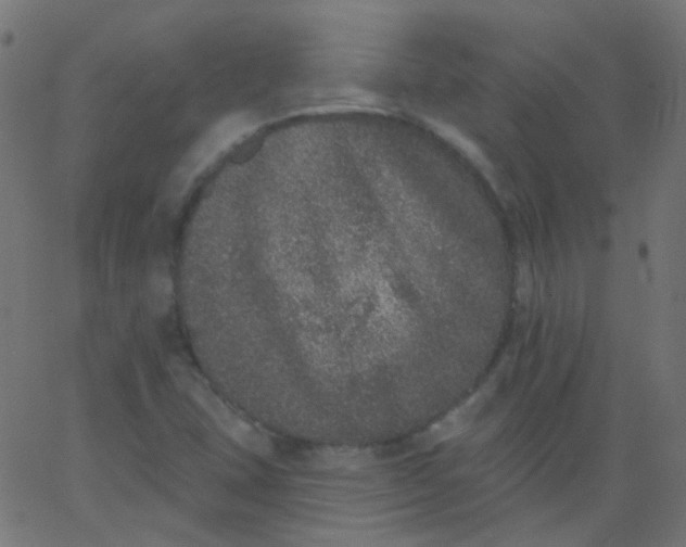 X0000067901407200604271841