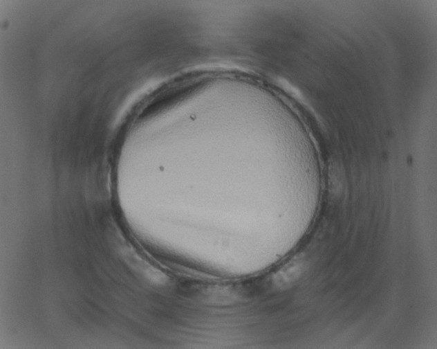 X0000067901408200604271841