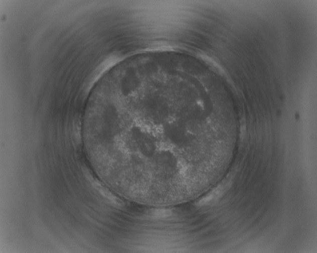 X0000067901409200604271841