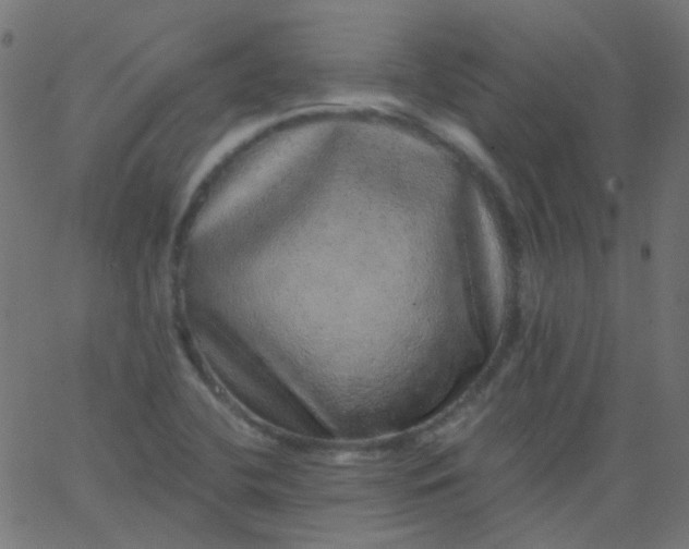 X0000067901412200604271841