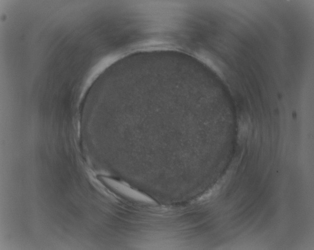 X0000067901413200604271841