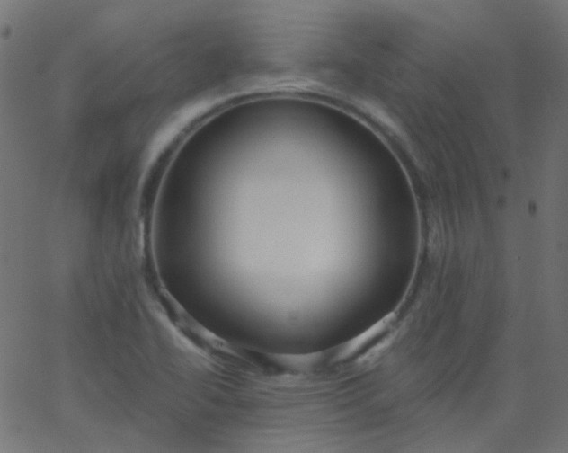 X0000067901414200604271841