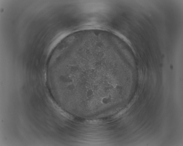 X0000067901415200604271841