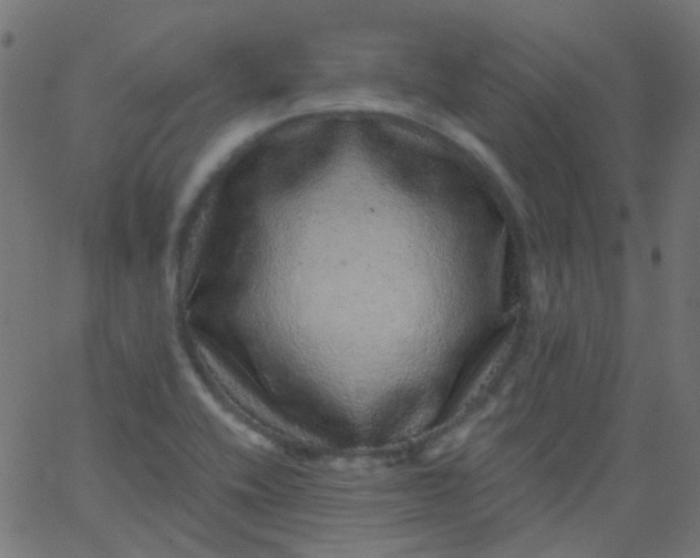 X0000067901416200604271841