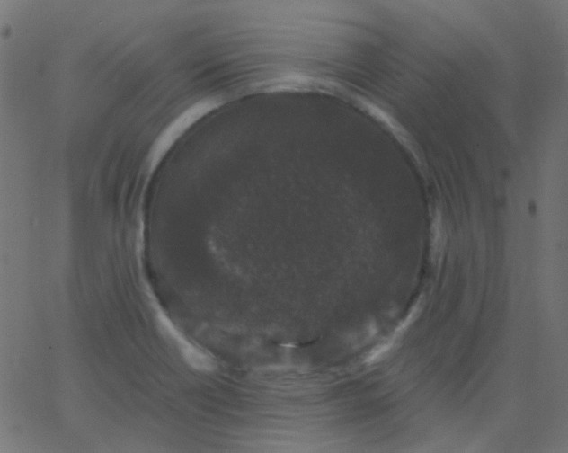 X0000067901418200604271841