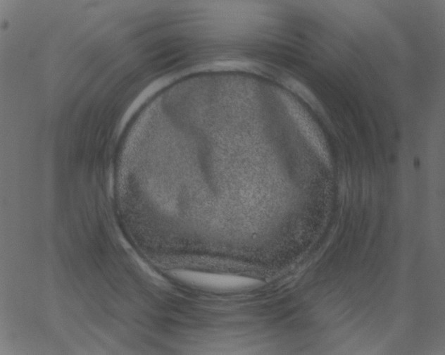 X0000067901420200604271841