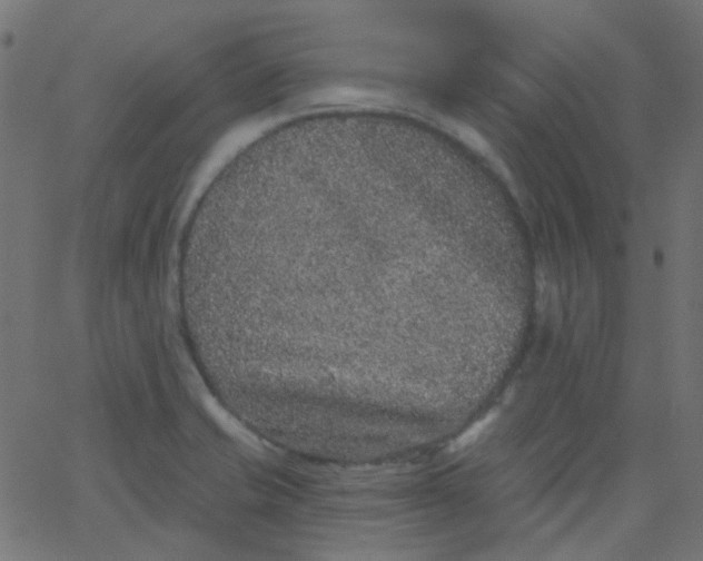 X0000067901421200604271841