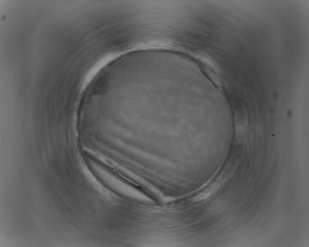 X0000067901422200604271841