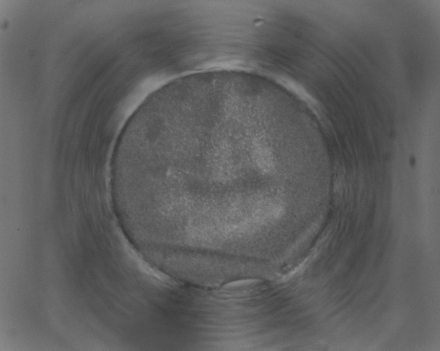 X0000067901423200604271841