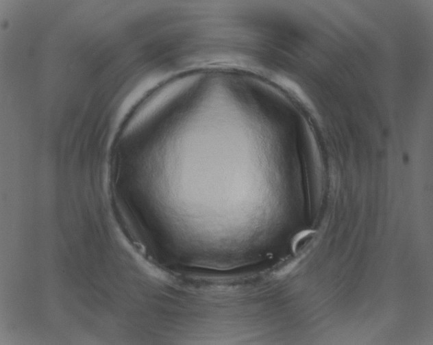 X0000067901424200604271841