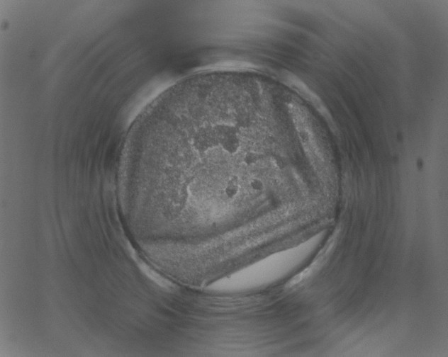 X0000067901425200604271841