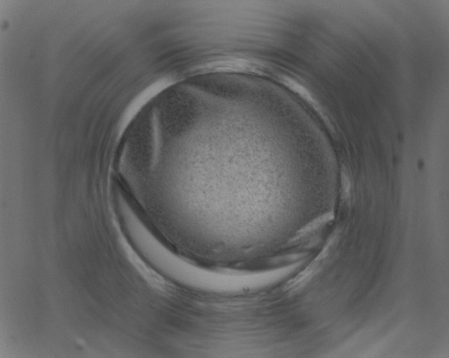 X0000067901426200604271841