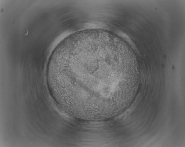 X0000067901427200604271841