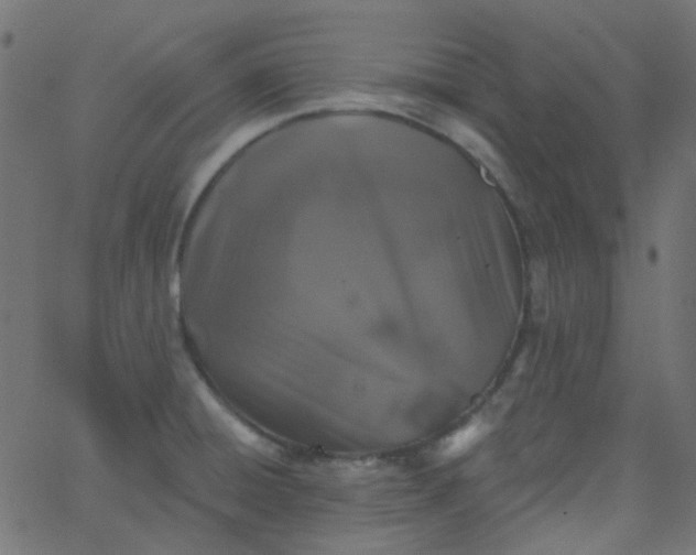 X0000067901428200604271841