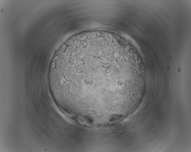 X0000067901429200604271841