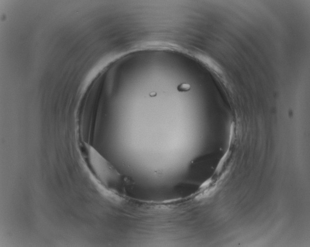 X0000067901430200604271841