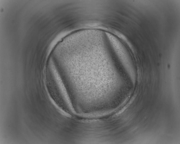 X0000067901432200604271841