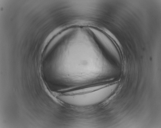 X0000067901437200604271841