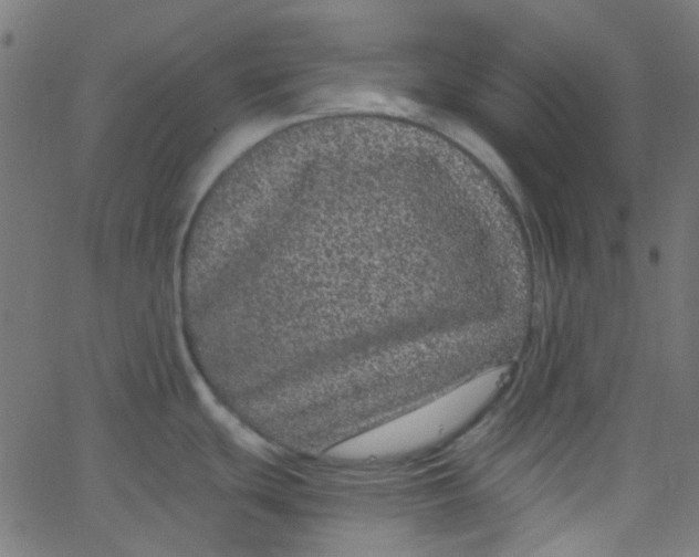 X0000067901439200604271841