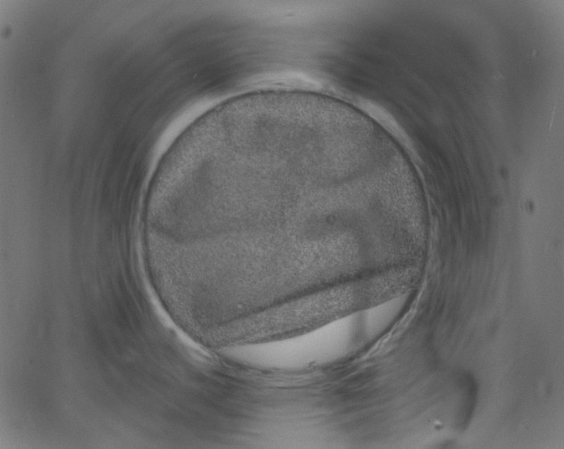 X0000067901440200604271841