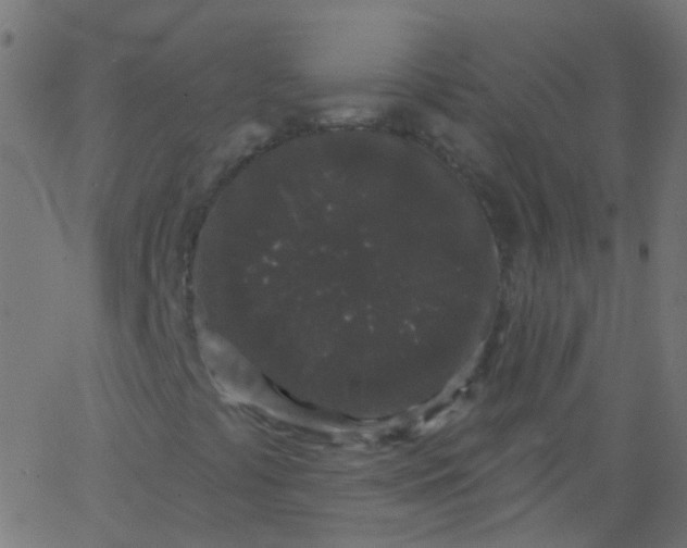 X0000067901441200604271840