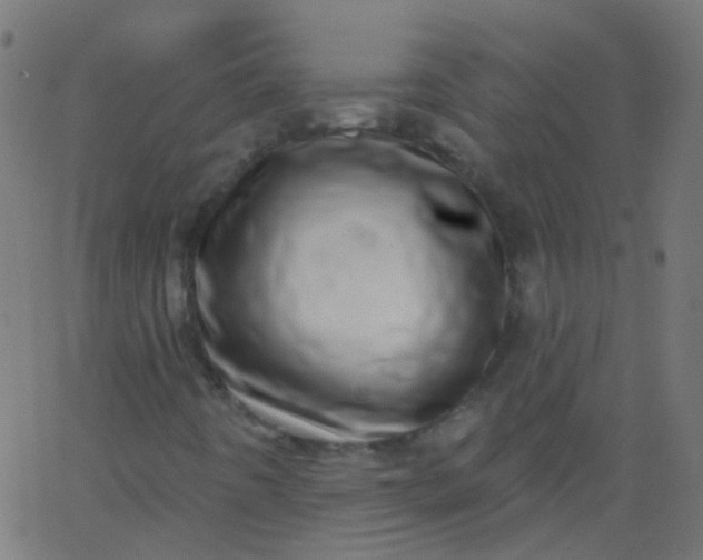 X0000067901442200604271840