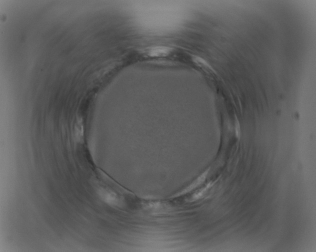 X0000067901443200604271840