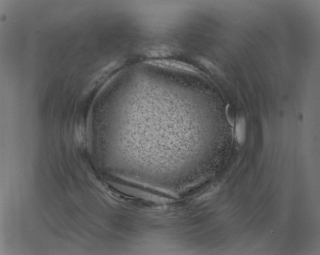 X0000067901444200604271840