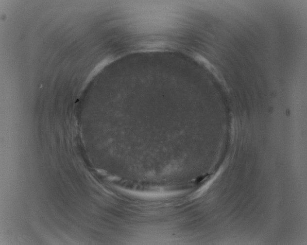 X0000067901449200604271840