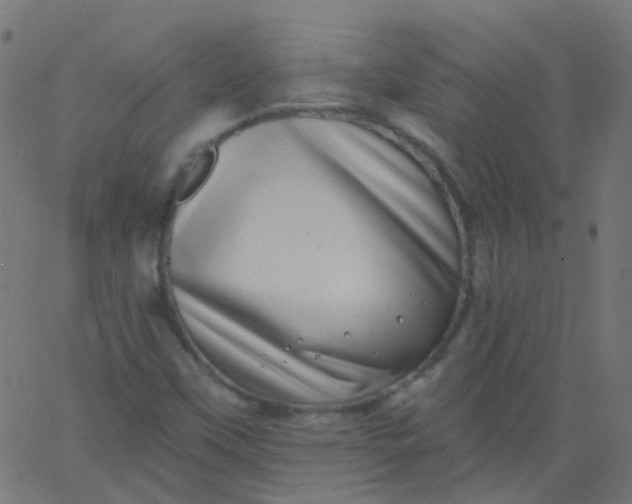 X0000067901451200604271840