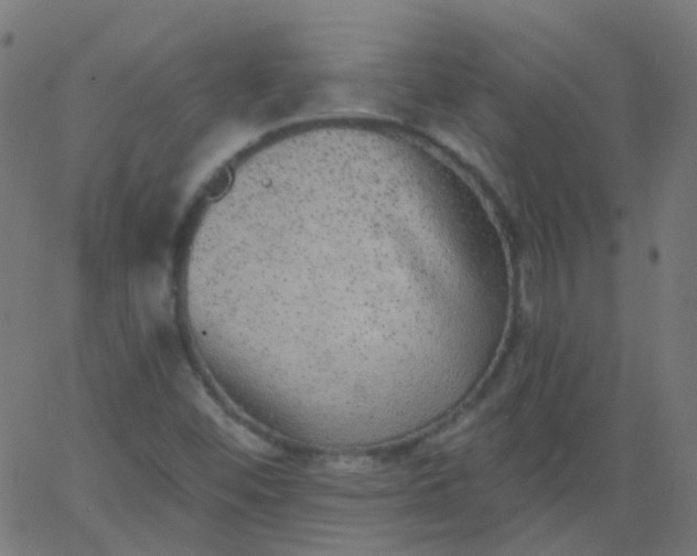 X0000067901452200604271840