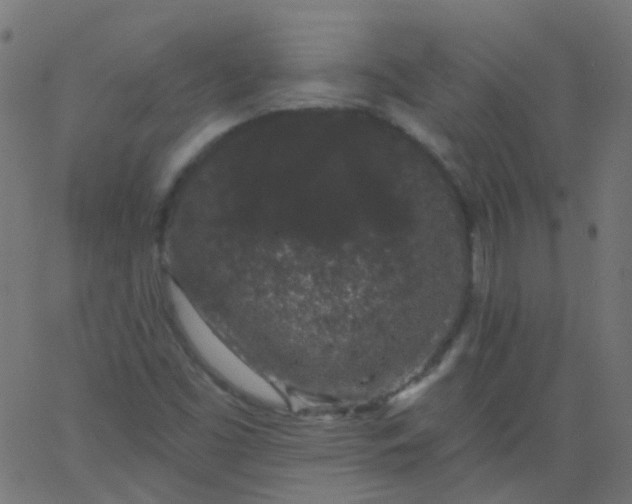 X0000067901453200604271840