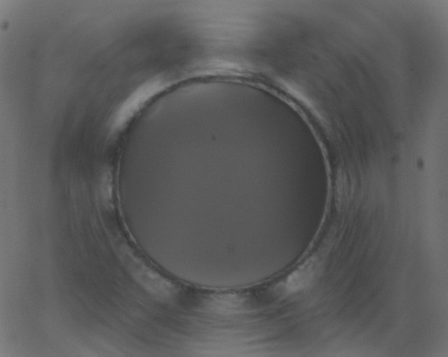 X0000067901455200604271840