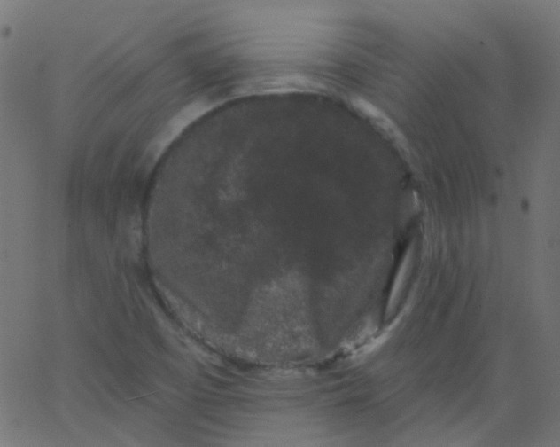 X0000067901457200604271840