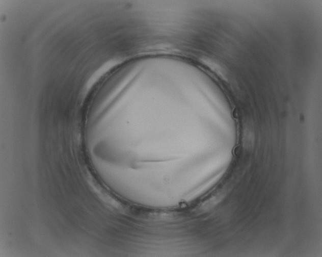 X0000067901458200604271840