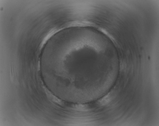 X0000067901459200604271840