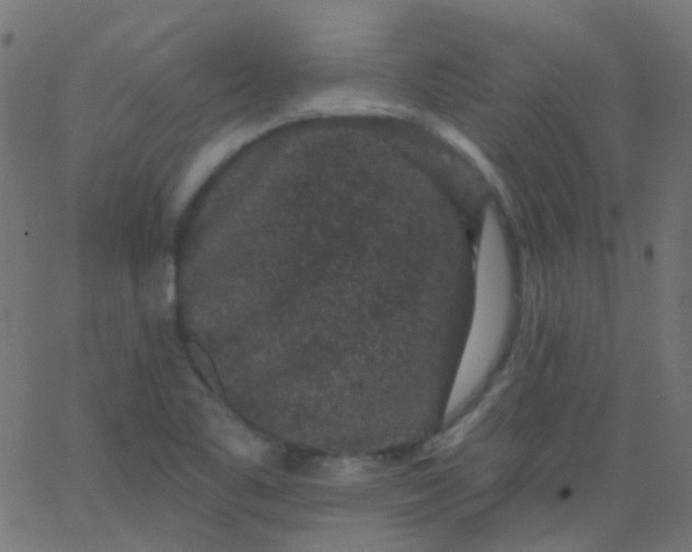 X0000067901461200604271840