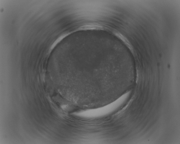 X0000067901465200604271840