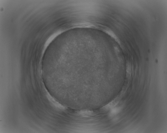 X0000067901466200604271840