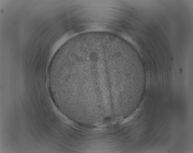 X0000067901467200604271840