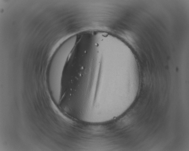 X0000067901468200604271840