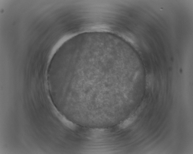 X0000067901470200604271840