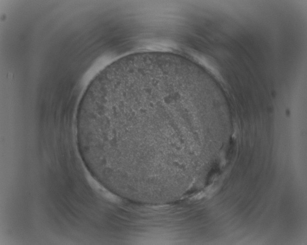 X0000067901471200604271840