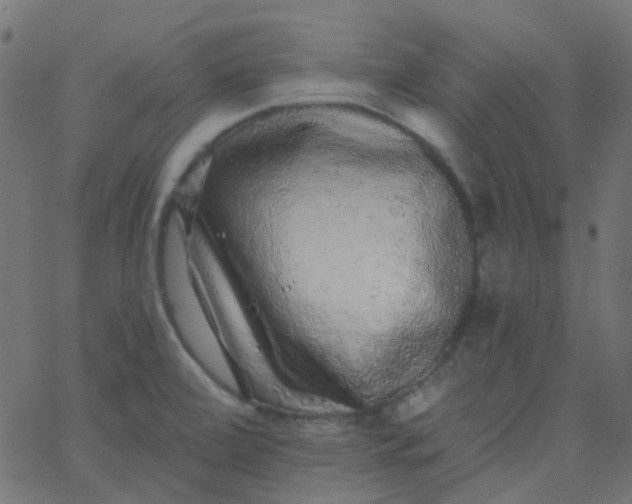 X0000067901472200604271840